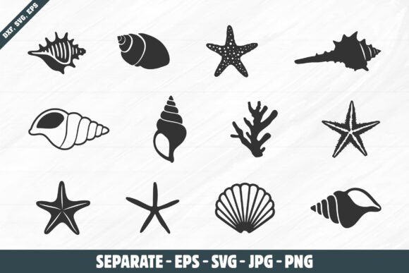 Download Sea Shell Silhouettes, Sea Shell Svg - Shell Collection