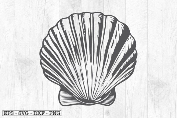 Download Sea Shell Illustration , Shell Svg - Shell Collection