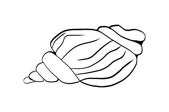 Download Sea Shell Line Art - Shell Collection