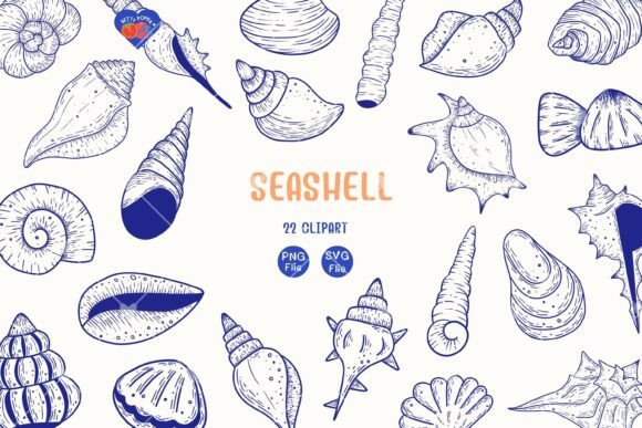 Download Seashell Clipart , 22 Blue Line Art - Shell Collection