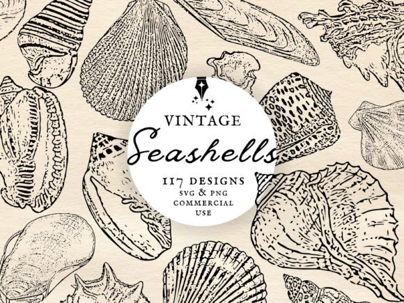 Download Vintage Seashell Clipart Set PNG &amp; SVG - Shell Collection