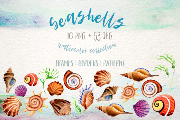 Download Watercolor Summer Beach Seashell Set - Shell Collection