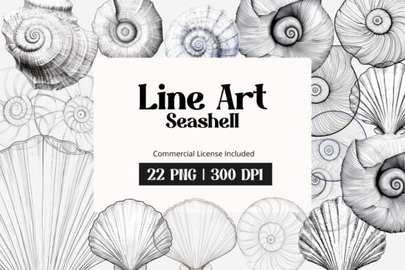 Download Line Art Seashell Clipart - Shell Collection