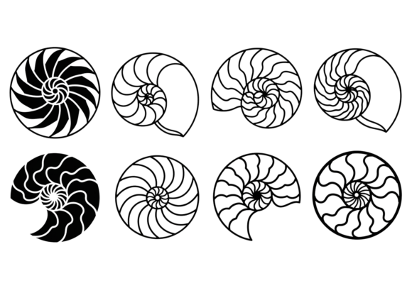 Download Nautilus Shell SVG Clipart Bundle - Shell Collection