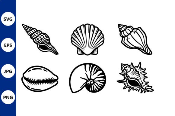 Download Seashell Line Art Vector Set - Shell Collection