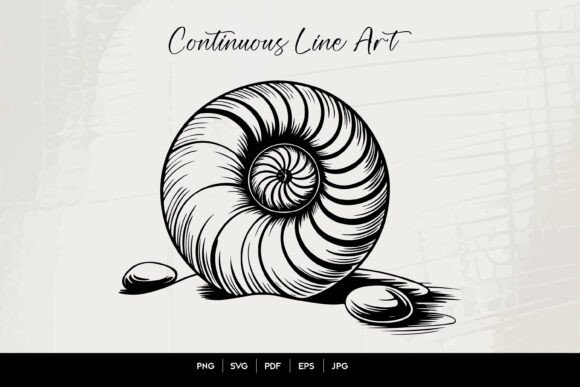 Download Nautilus Shell Line Art Illustration - Shell Collection