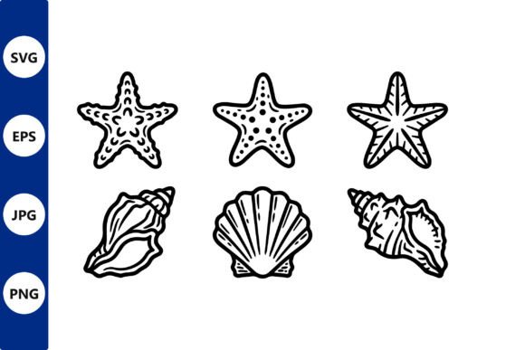 Download Starfish and Seashell Line Art Vector - Shell Collection