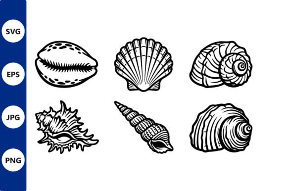 Download Seashells Line Art in Vector Style - Shell Collection