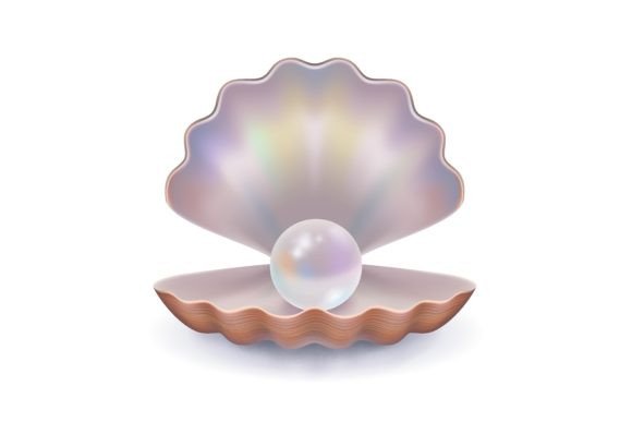 Download Pearl in Open Shell. Gem, Sea, Jewelry. - Shell Collection
