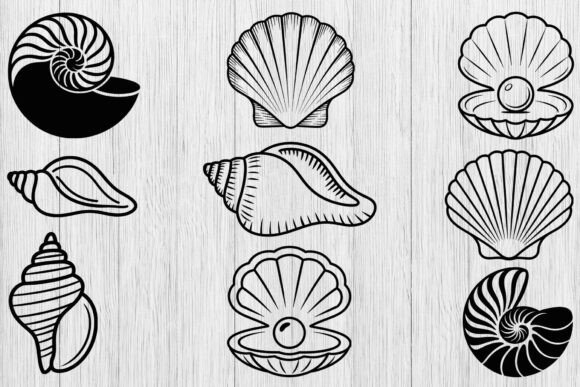 Download Seashell Svg Bundle, Shell Clipart Svg - Shell Collection